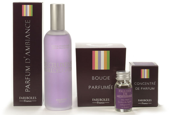 Quel type de diffuseur de parfum choisir ? Blog Côté Bougie