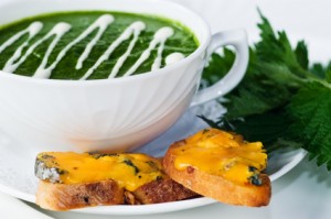 Nettle Soup